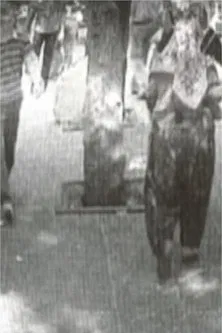 observation nest poster