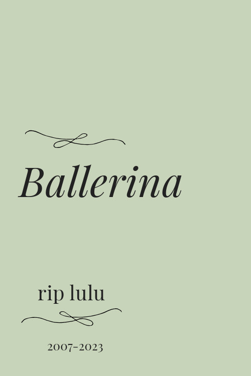 Ballerina poster