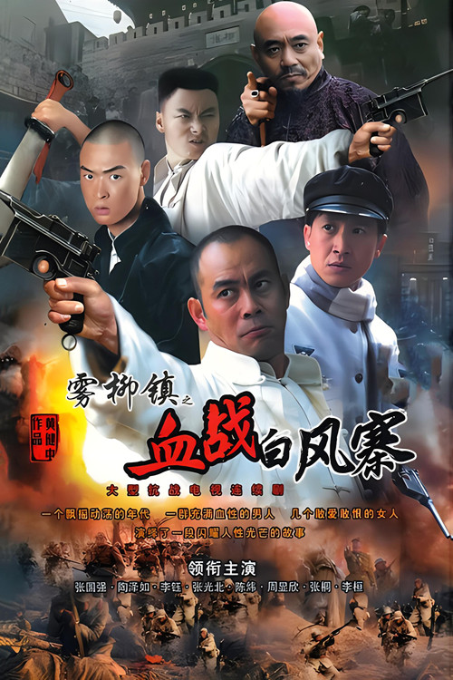 雾柳镇 poster