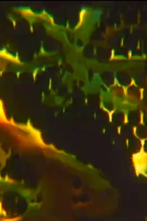 Conjuror's Box poster