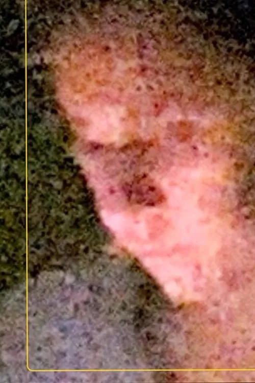 A Sentimental Science poster