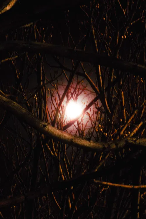 Sad and Empty poster