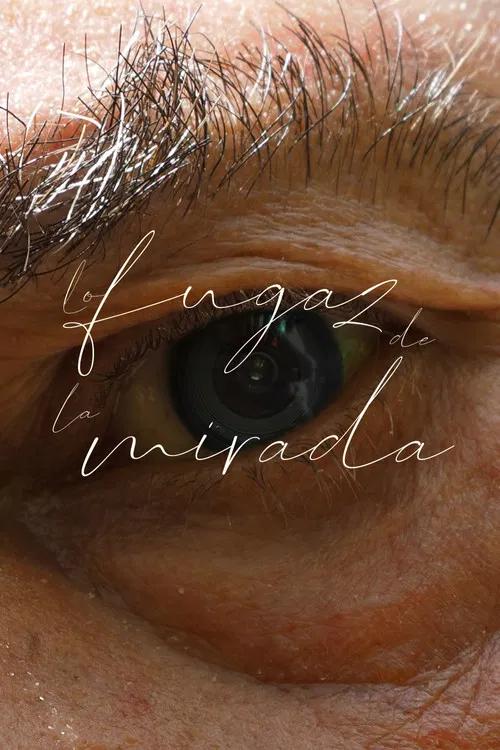 Lo fugaz de la mirada poster