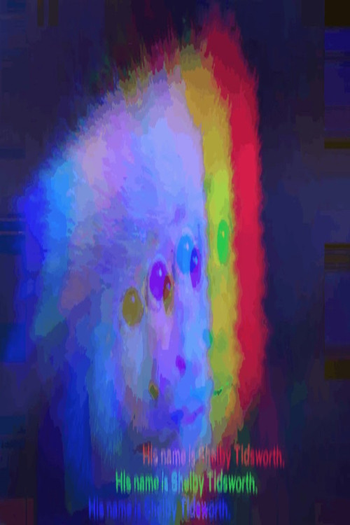 Shelby Tidsworth's Action poster