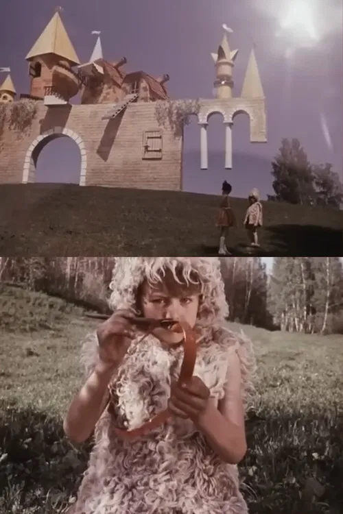 Geometric Caprices poster