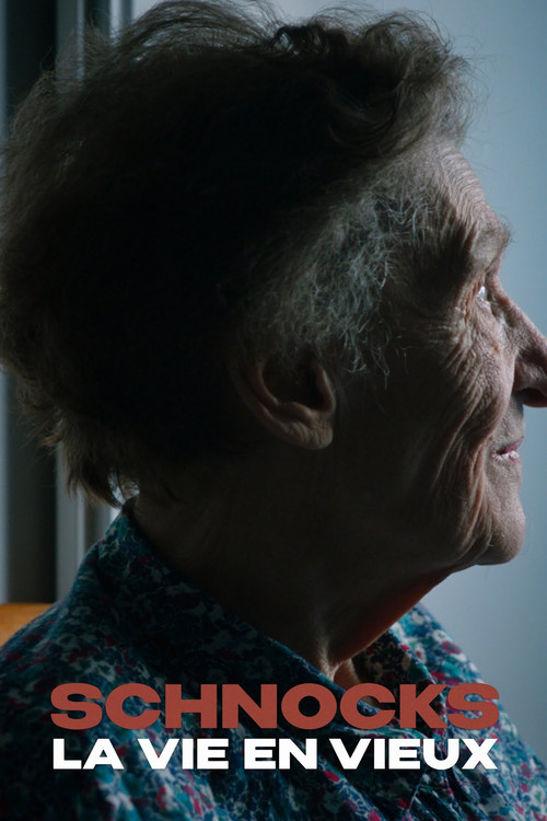 Schnocks, la vie en vieux poster