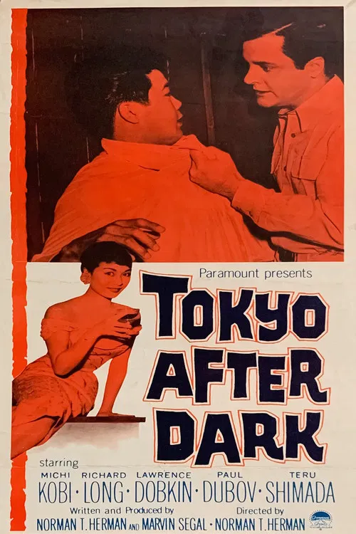 Tokyo After Dark poster
