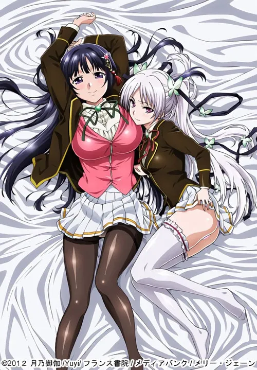 Ojou-sama☆Yomeiri Kousou! poster