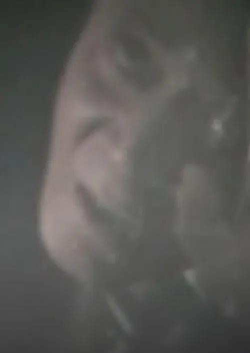 Self-Portrait poster