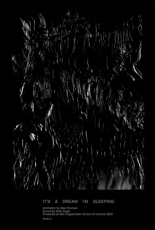 It's A Dream, I'm Sleeping poster