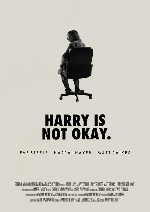 Harry Is Not Okay poster