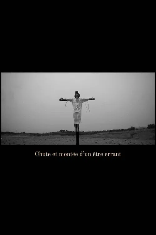 Chute et montée d'un être errant poster