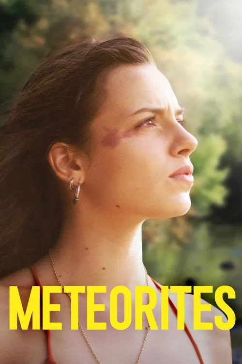 Meteorites poster