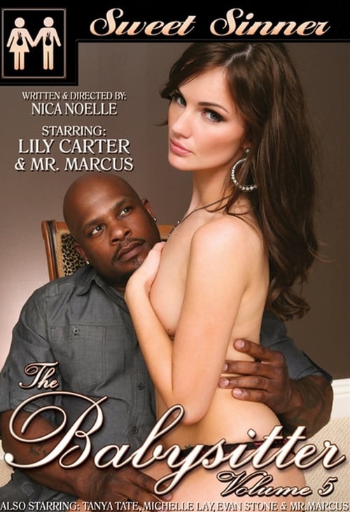 The Babysitter 5 poster