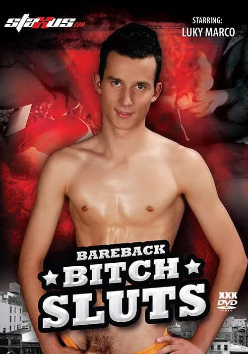 Bareback Bitch Sluts poster