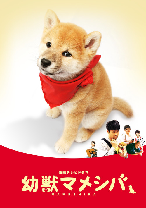 幼獣マメシバ poster