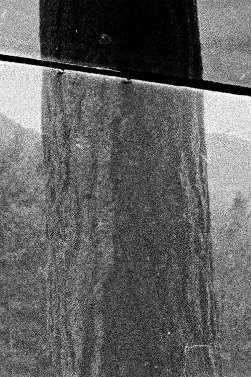 Wounded Edges poster