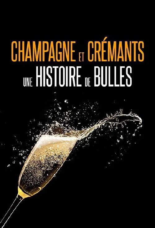 Champagnes et crémants, une histoire de bulles poster