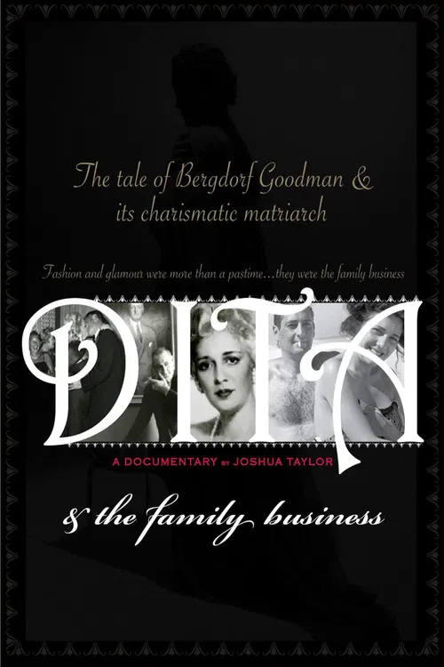 Dita and the Family Business poster