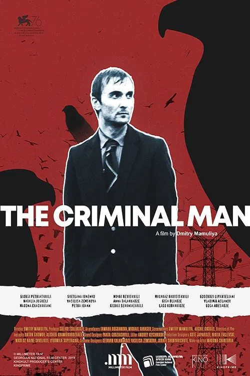 The Criminal Man poster