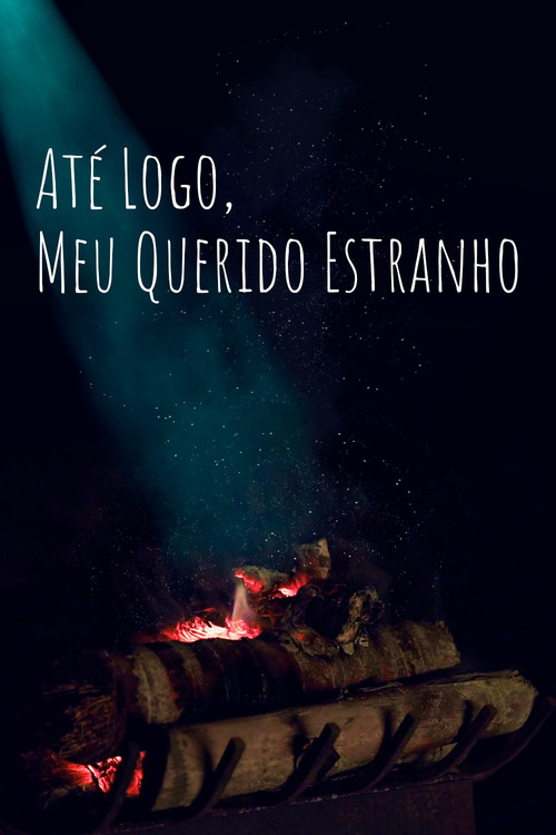 So Long, My Dear Stranger poster