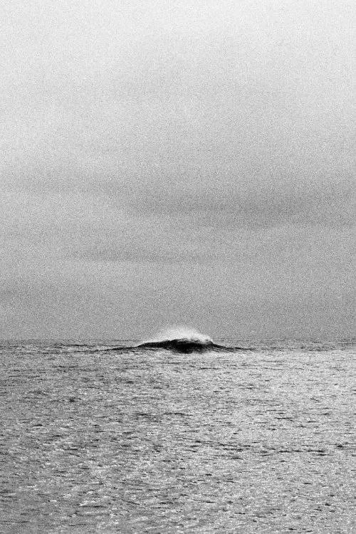 Geometría de ecos poster