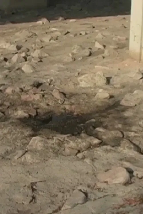 2005.1 Sandy River Water poster