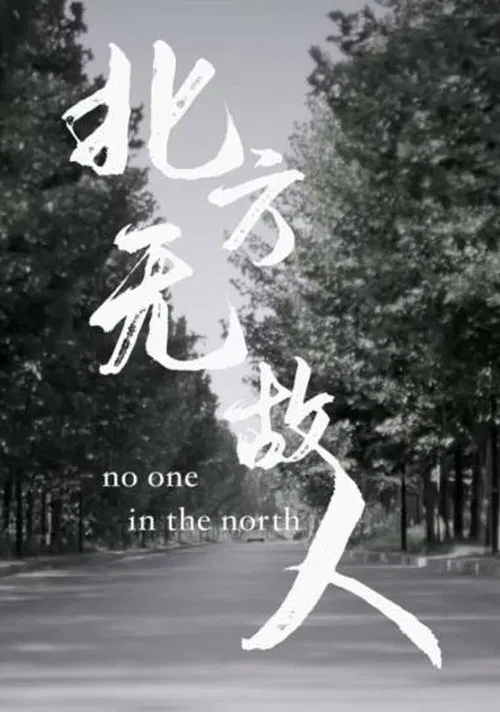 No One in the North poster