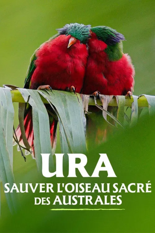 Ura, sauver l'oiseau sacré des australes poster