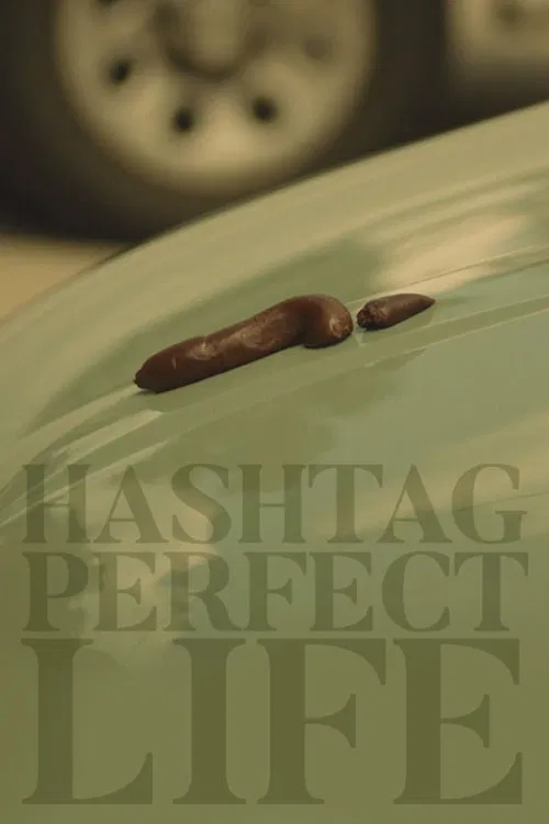 Hashtag Perfect Life poster