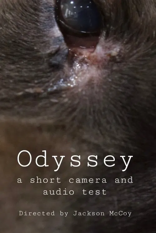 Odyssey - a camera and audio test poster