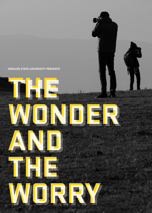 The Wonder and the Worry poster