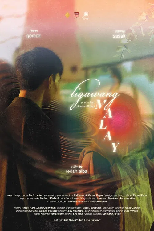 We're Just Sleepwalking poster