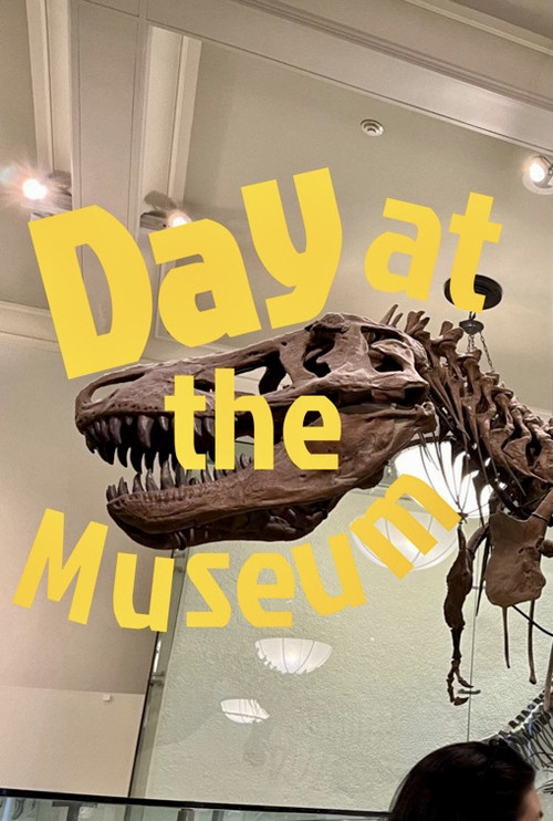 Day at the Museum poster