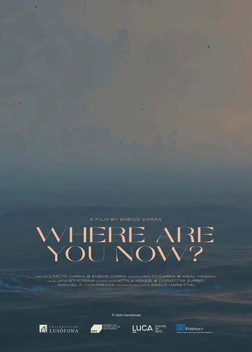 Where Are You Now? poster