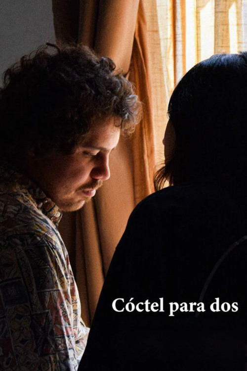 Cocktails for two poster