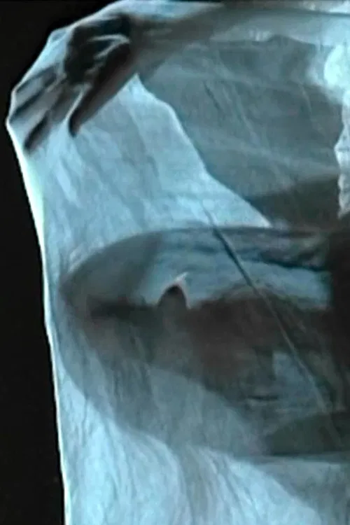 The Silence of Love poster