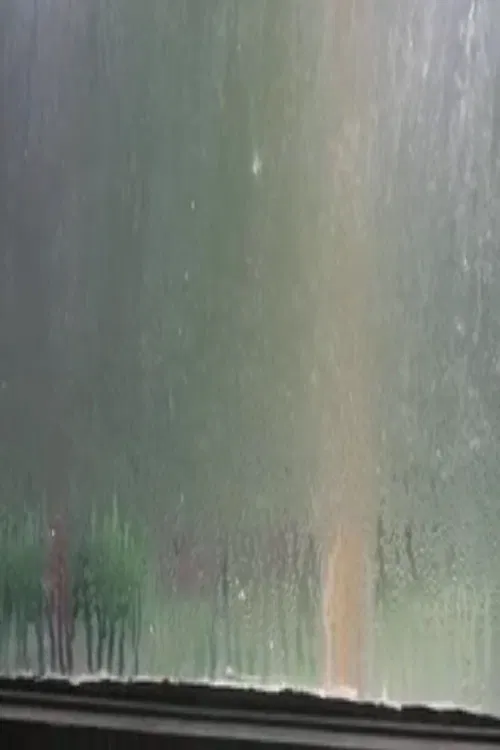 Fogged Windows poster