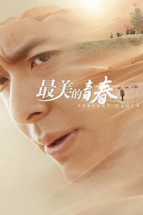 Perfect Youth poster