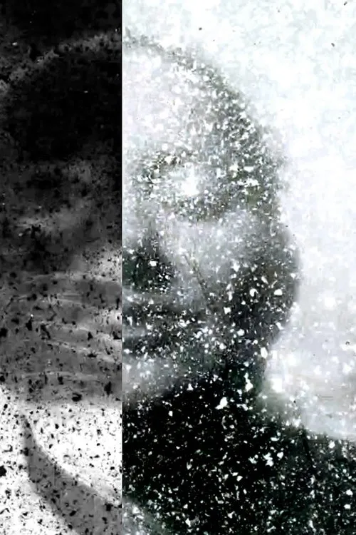 A Venture into Vegan Filmmaking poster