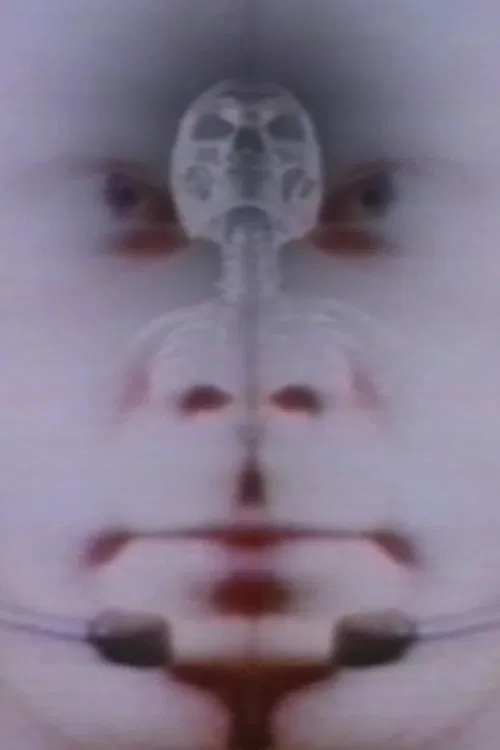 Twice the Universe poster