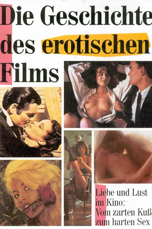 The Story of Erotic Film poster