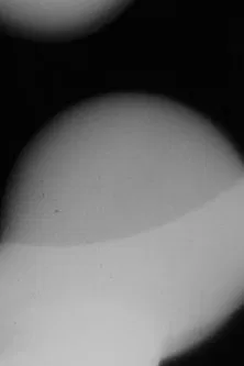 Force Majeure poster