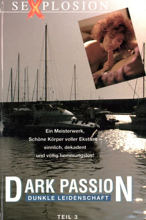 Dark Passion - Dunkle Leidenschaft 3 poster