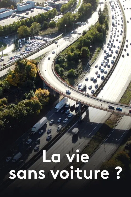 La Vie sans voiture ? poster