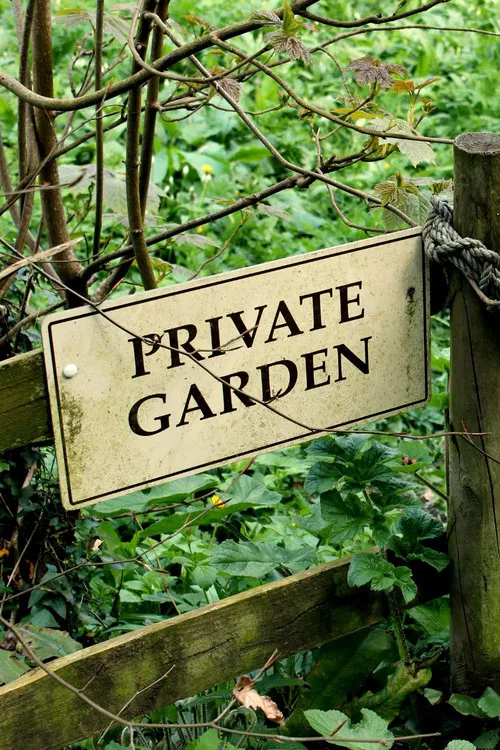 La vie secrète des plantes poster