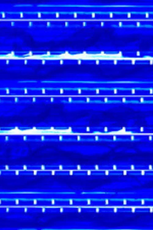 We were left alone poster