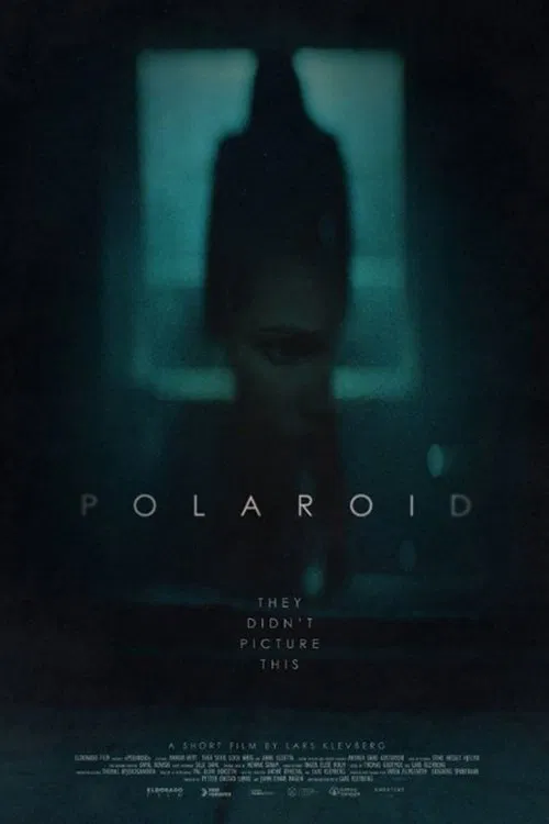 Polaroid poster