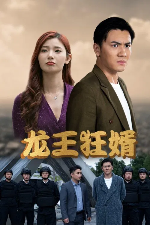 龙王狂婿 poster