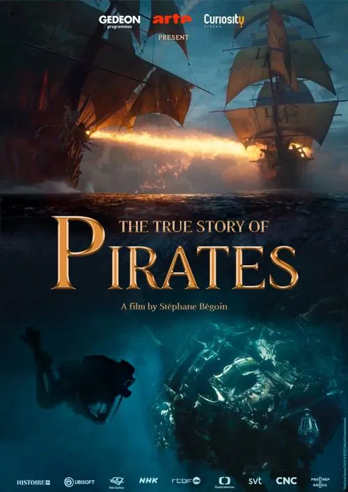 The True Story of Pirates poster